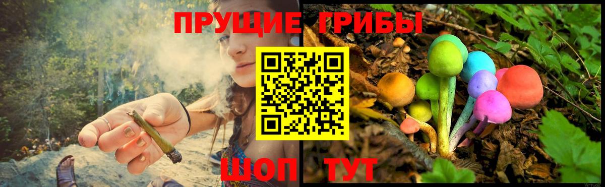 Галлюциногенные грибы Cubensis  Галлюциногенные грибы ЛСД  Каменск-Уральский  сколько стоит  Вход с VPN 